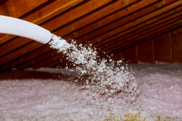 Best Affordable Insulation Services  in South Henderson, NC